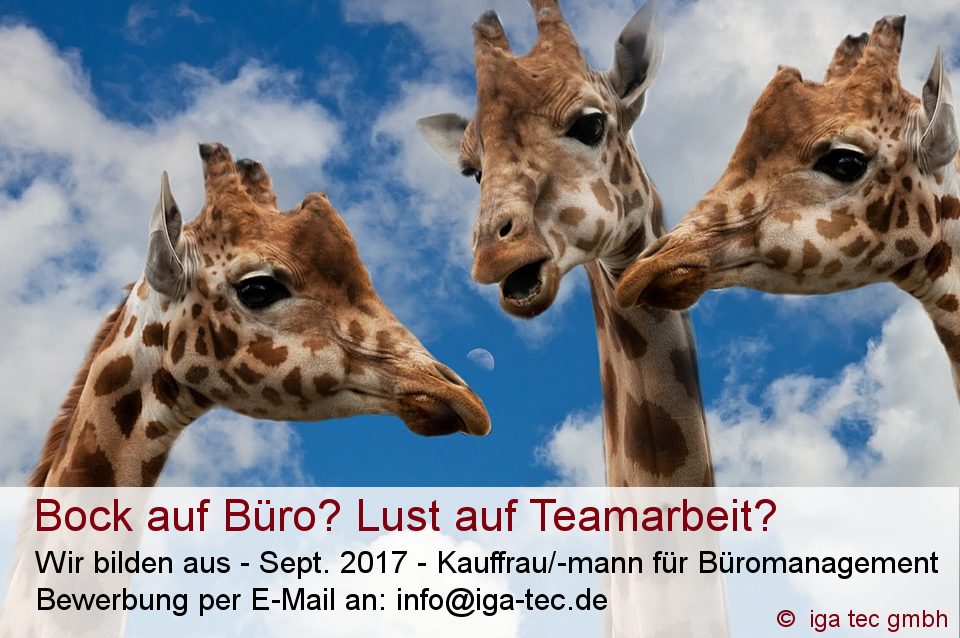 Bock auf Büro?